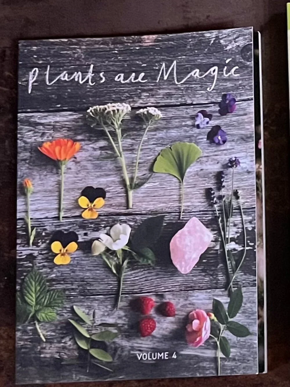 Ltd Ed Plants are Magic/Vol 4/For Makers, Dreamers & Plant Lovers/First Edition